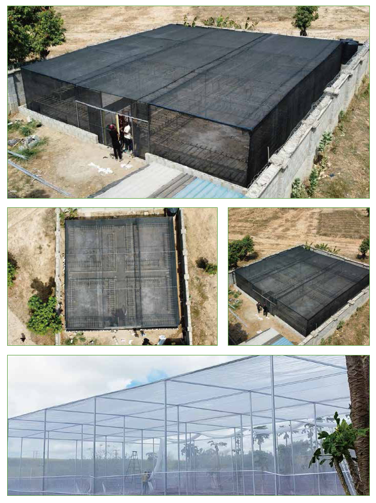 Rectangular Greenhouse